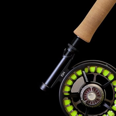 Alternative view of Sage ESN