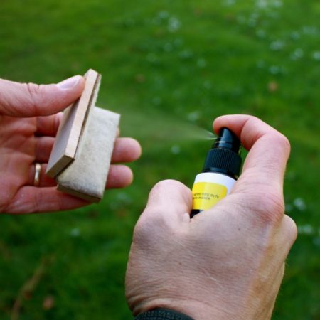 Alternative view of Loon Sink Fast