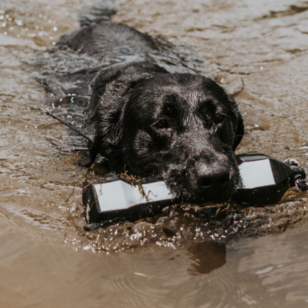 Alternative view of Avery PerfectHold Bumper Orange