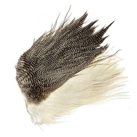 Veniard Genetic Saddle Grade 2