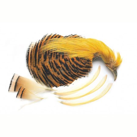 Veniard Golden Pheasant No 1 Compl Head