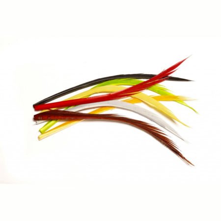 Veniard Turkey Biots