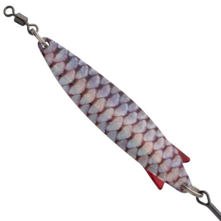 Alternative view of Abu Garcia Toby® – Holo Roach