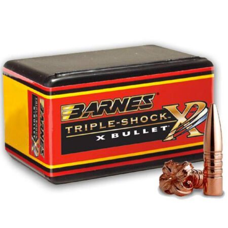 Barnes 9.3mm - 250gr. TSX FB