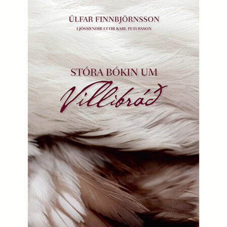 Stóra bókin um villibráð