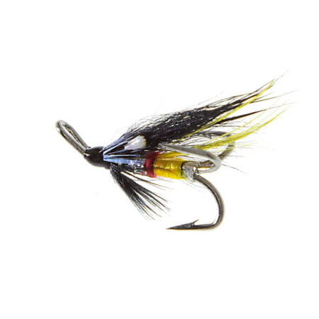 Alternative view of NIght Hawk