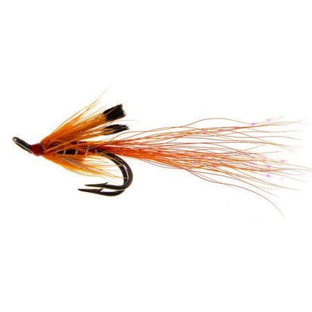 Alternative view of Ally´s Shrimp