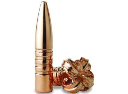 Alternative view of Barnes 375 cal - 270gr. TSX FB