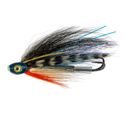 Sunray Fish Skull Blue