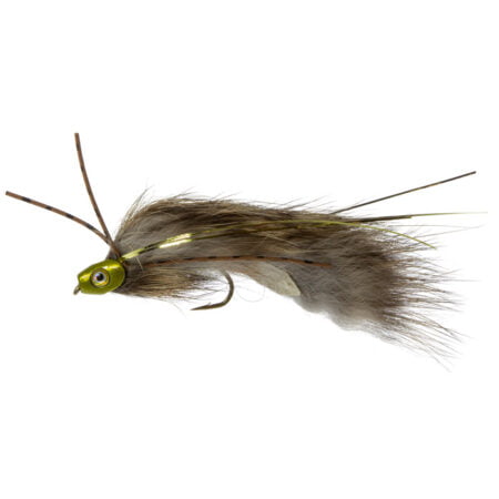 Natural Brown Fish Skull