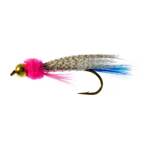 Bleik og Blá með kúluhaus