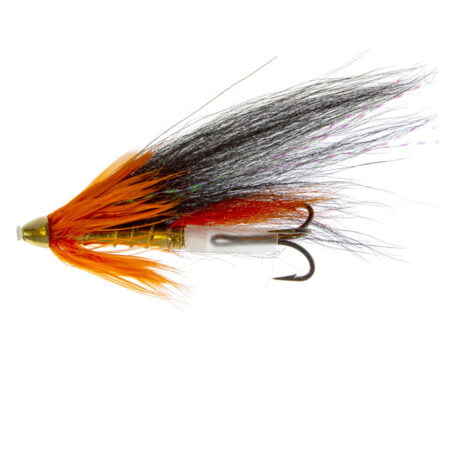 Dentist Tungsten Conehead