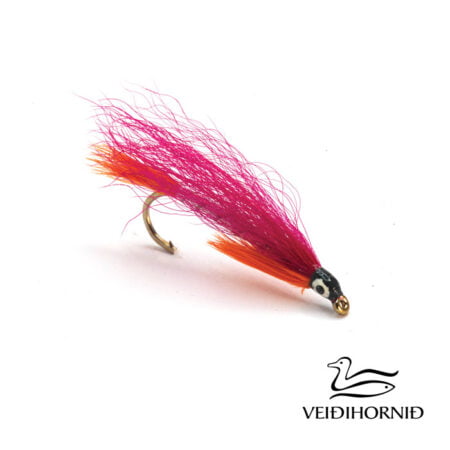 Alternative view of Heimasæta