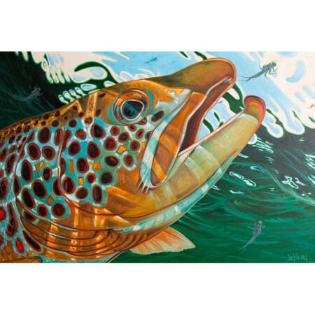 DeYoung Brown Callibaetis 5/50