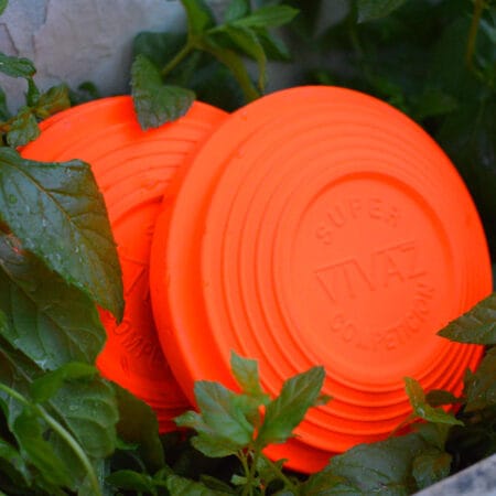 Alternative view of Vivaz Natura Orange