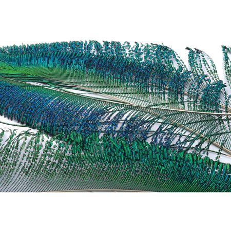 Veniard Peacock Sword Natural