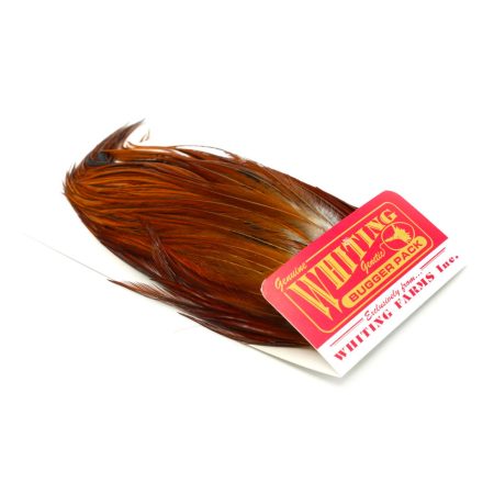 Whiting Bugger Pack Brown