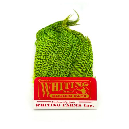 Alternative view of Whiting Bugger Pack Grizzly Dyed Fl Green