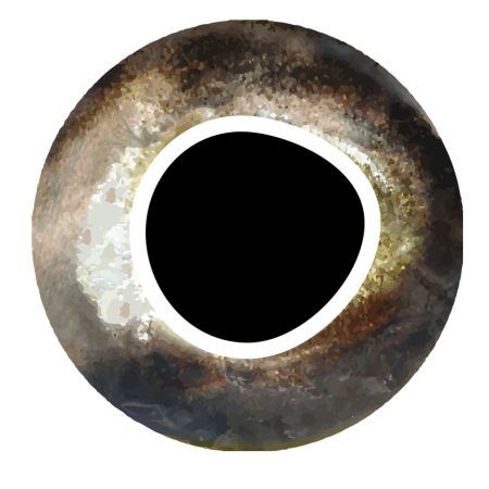 Pro Sportfisher Cool Eyes Brown 3mm