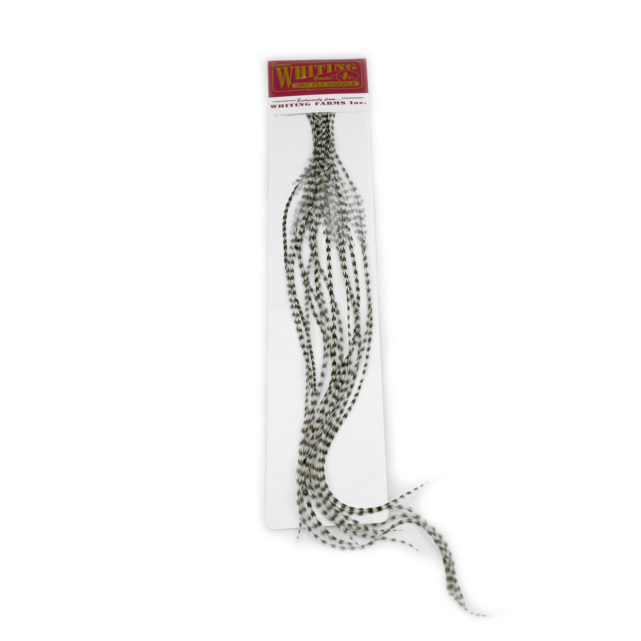 Whiting 100 Pk Size 12 Grizzly