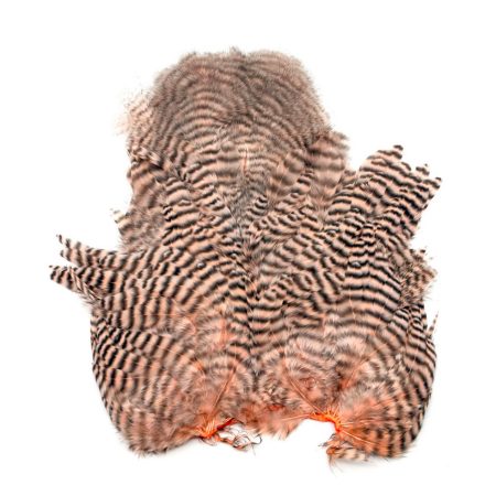 Whiting Rooster SH/C Grizzly Dyed Salmon