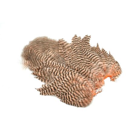 Alternative view of Whiting Rooster SH/C Grizzly Dyed Salmon