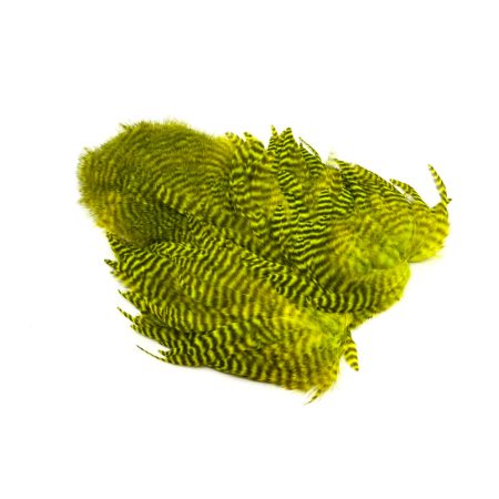 Alternative view of Whiting Rooster SH/C Grizzly Dyed Fl Yellow Chartreuse
