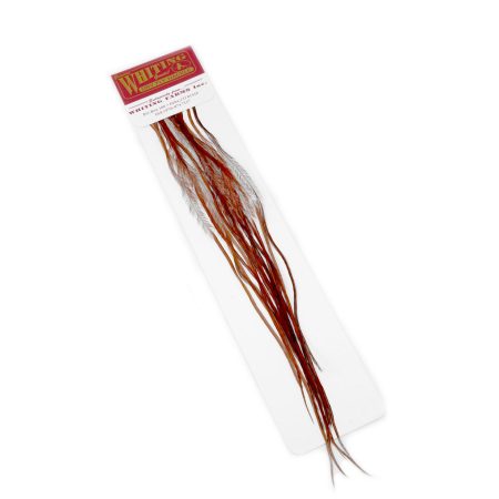 Alternative view of Whiting 100 Pk Size 14 Brown