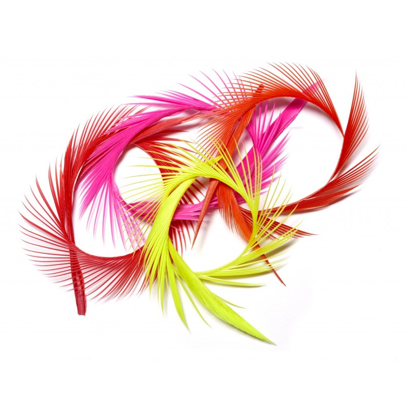 Alternative view of Veniard Goose Biot Strips