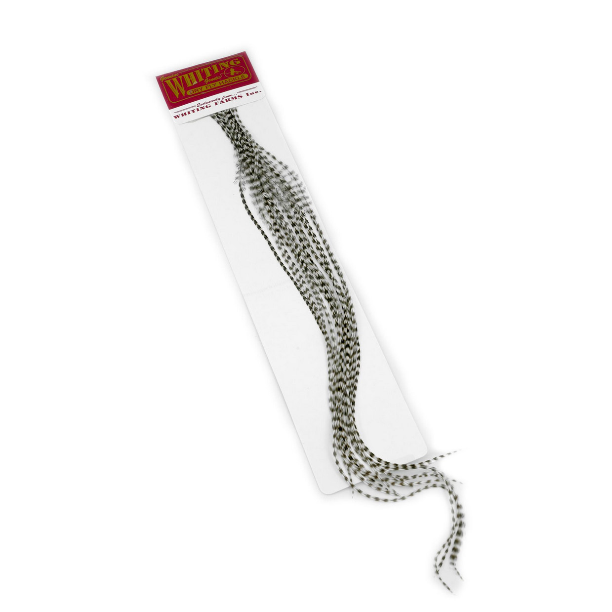 Alternative view of Whiting 100 Pk Size 14 Grizzly