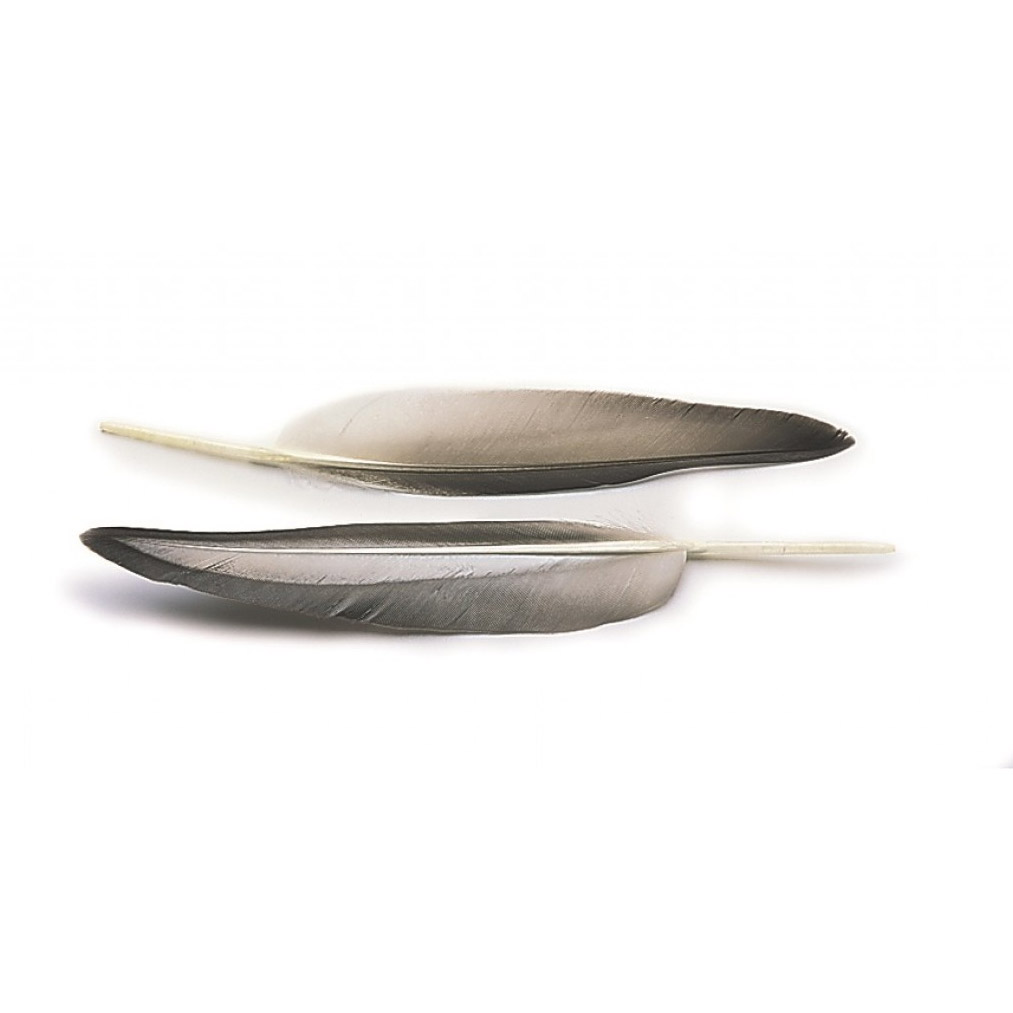Veniard Mallard Duck Wing Quills Grey Natural