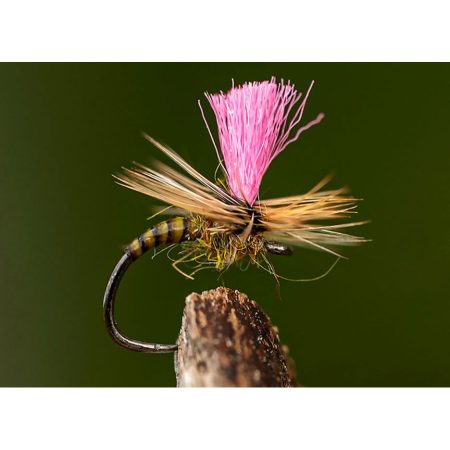 Alternative view of Ahrex FW527 Big Gap Dry