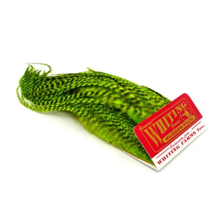 Whiting Bugger Pack Grizzly Dyed Fl Green