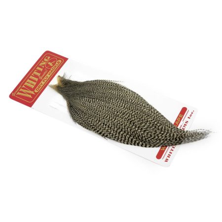 Alternative view of Whiting Commercial Cape Grizzly