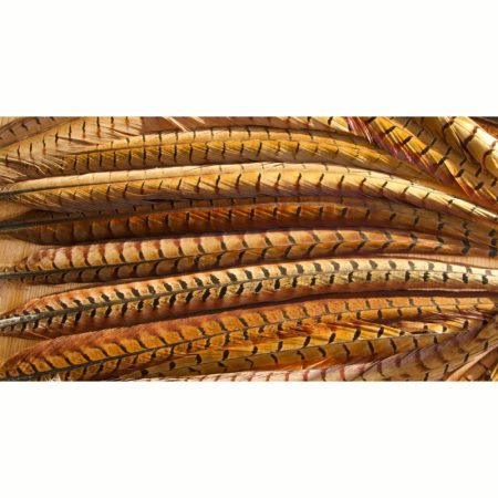 Veniard Cock Pheasant Centre Tails Nat