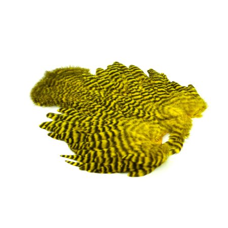 Alternative view of Whiting Rooster SH/C Grizzly Dyed Yellow