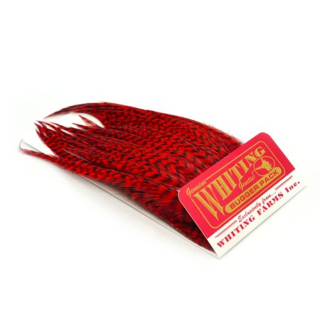 Whiting Bugger Pack Grizzly Dyed Red
