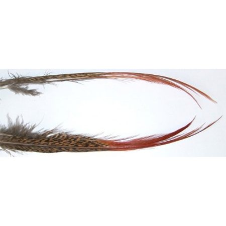 Veniard Golden Pheasant Red Spears Natural