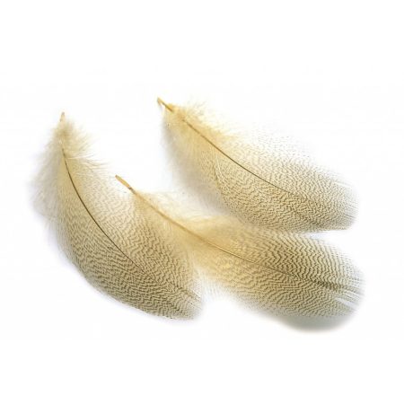 Veniard Mallard Duck Drake Grey Flank