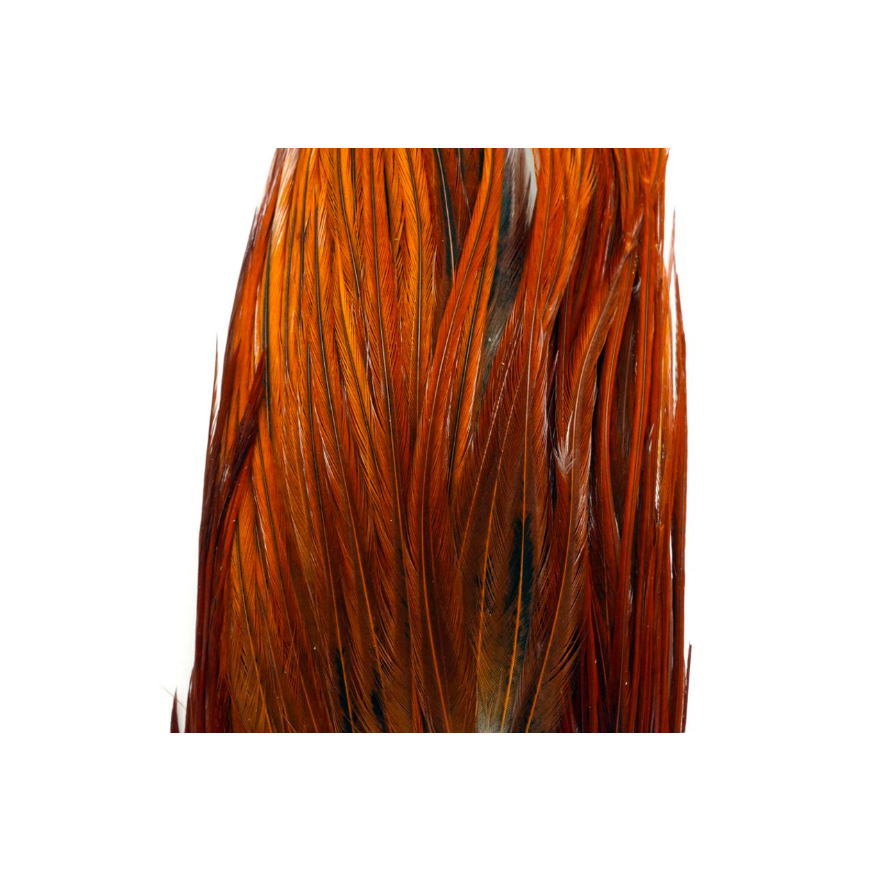 Whiting Bugger Pack Brown - Image 3