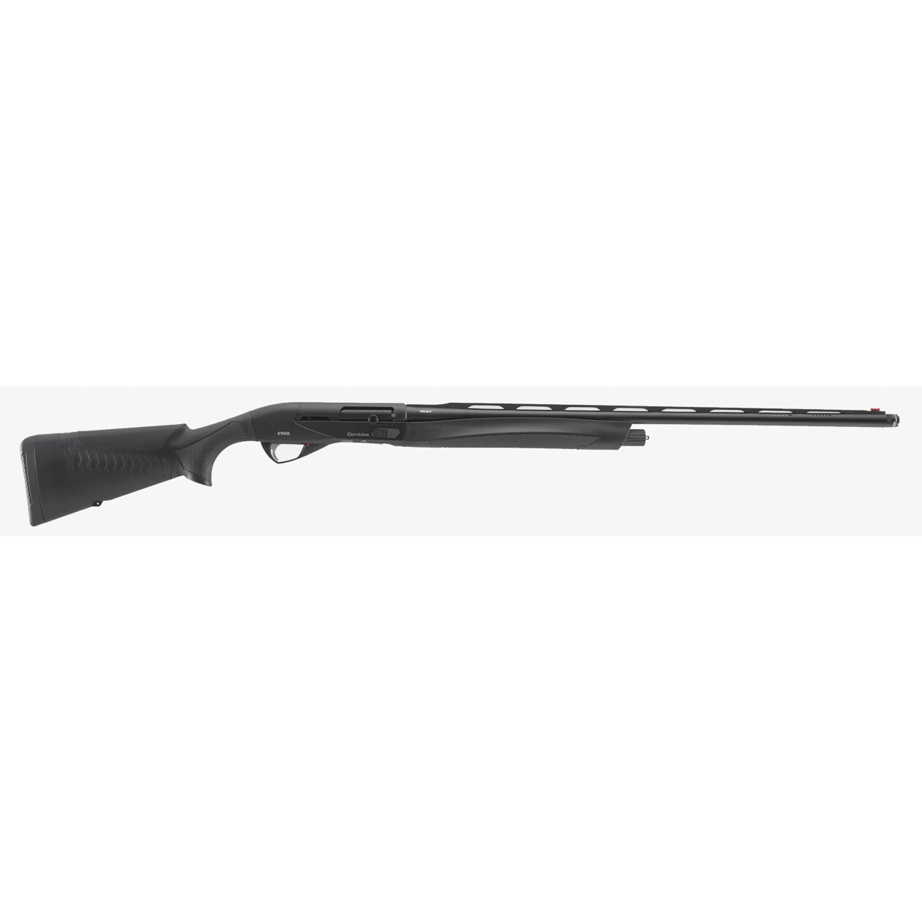 Benelli Raffaello Ethos Cordoba